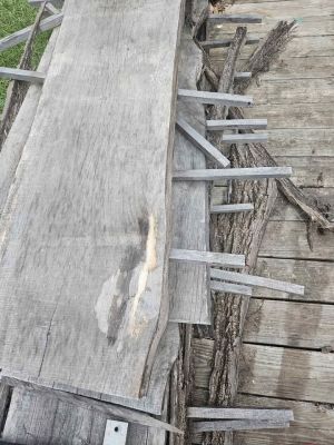 Black walnut slabs