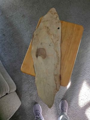 Live Edge Wood Slab thin and lightweight.