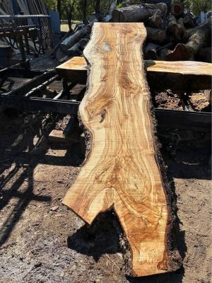 Wild Ash Slabs ;) (Kiln Dried)