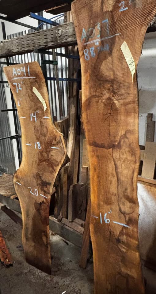 Live Edge Walnut Slab - Image 6