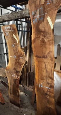Live Edge Walnut Slab