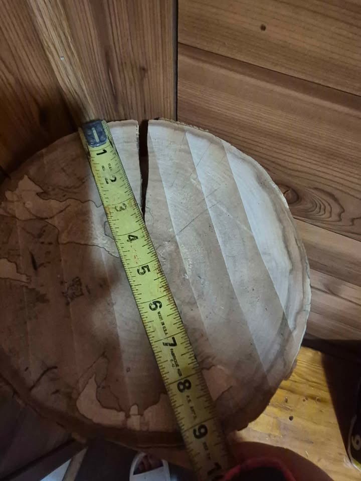 Wooden Maple rounds - Image 4