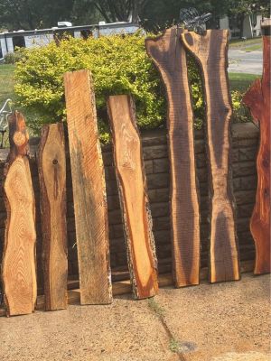 Assorted Live Edge Wood Slices