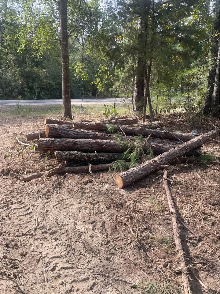Free wood pine and oak mix - Image 2