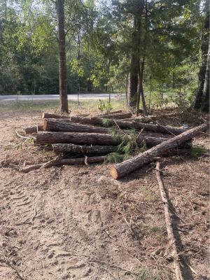 Free wood pine and oak mix