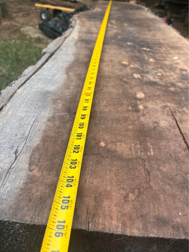 Live edge black walnut slab 8ft 10" inches long and 19-21 inches wide and 3inches thick - Image 3