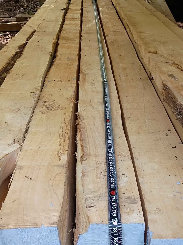 Cypress  6 by 8 beams and lumber - Image 2