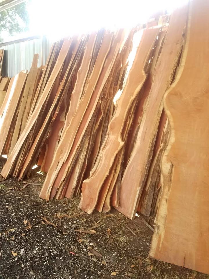 SAW MILL LOCATED IN HOUSTON