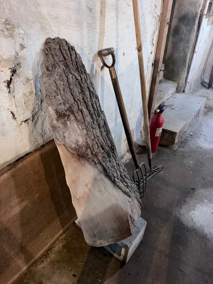 Raw wood - Image 3