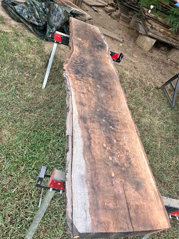 Live edge black walnut slab 8ft 10" inches long and 19-21 inches wide and 3inches thick - Image 1
