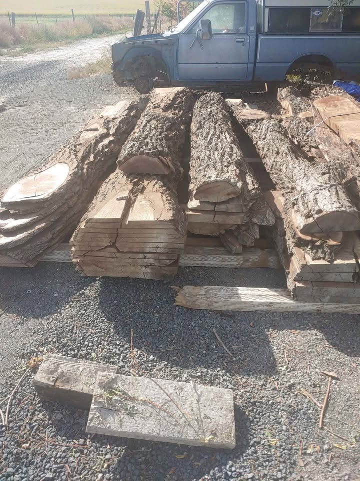 Black Walnut Slabs - Image 3