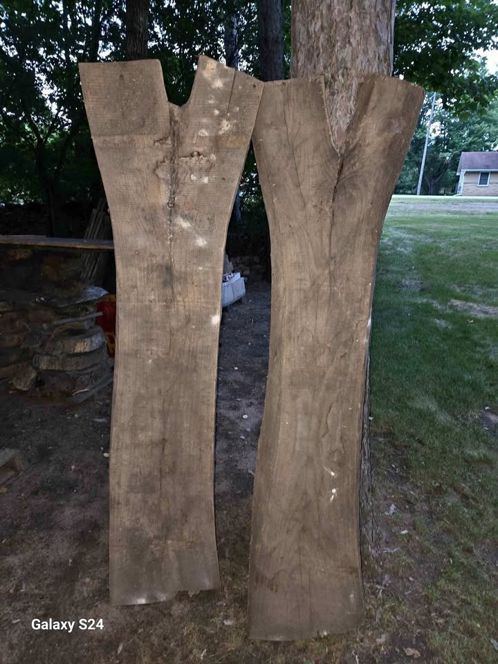 Ash Slab Wood - Image 1