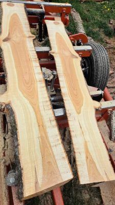 Live edge wood slabs