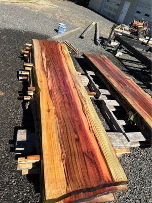Sequoia Slabs