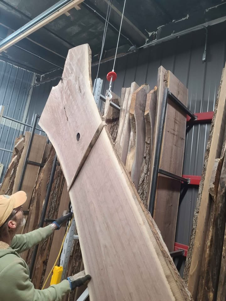 Giant Walnut Slabs - Image 9