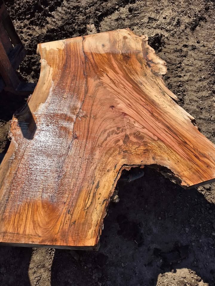 Live edge spalted pecan slabs - Image 2