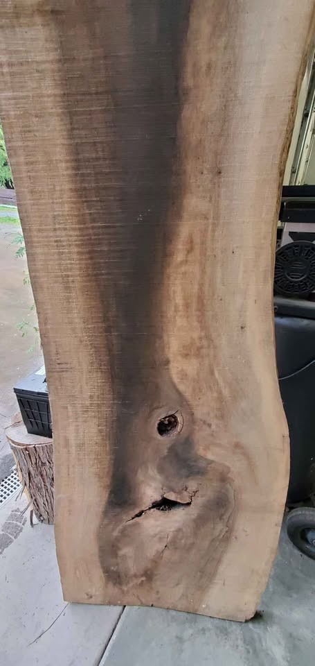 English Walnut Slab, Kiln dried - Image 3
