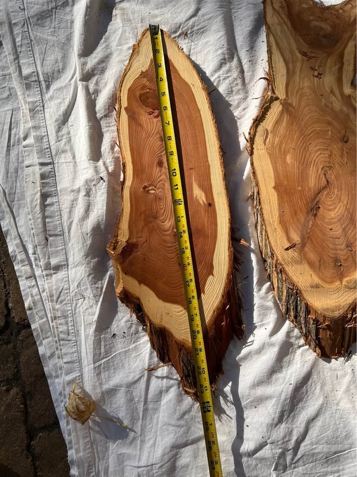 Live Edge Cedar Wood Slices/slabs - 
Individual or the Lot - Image 2