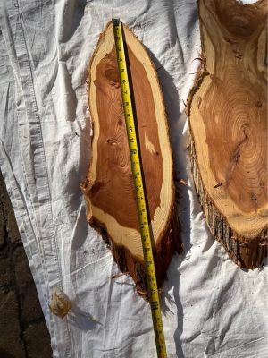 Live Edge Cedar Wood Slices/slabs - 
Individual or the Lot