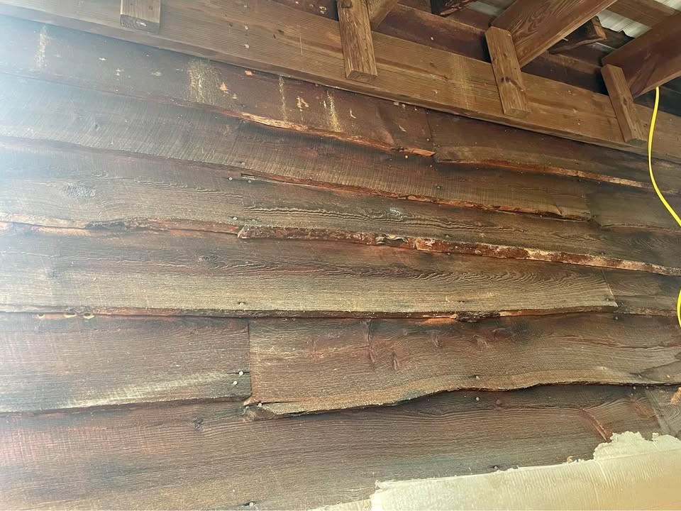 Live Edge Pine Siding or Craft Wood - Image 1