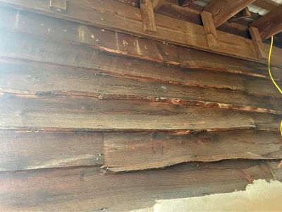 Live Edge Pine Siding or Craft Wood