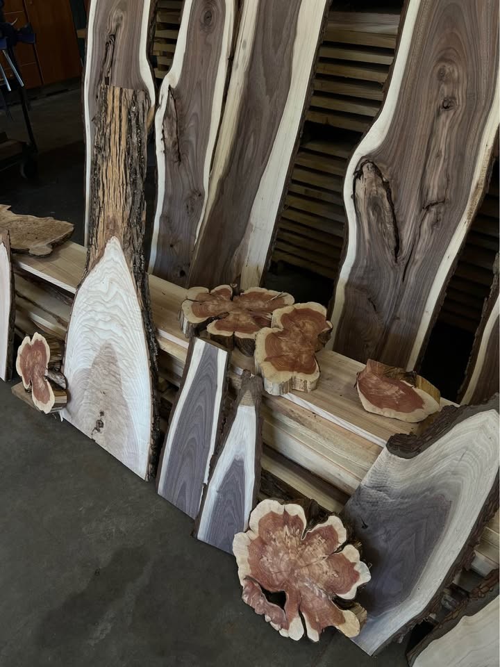 Walnut / Ash / Cedar -Hobby Wood - Image 4