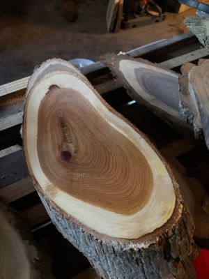 Assorted Live Edge Wood Slices