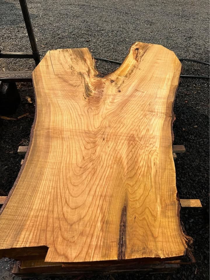 End of Season Wood Slab Sale - Image 4