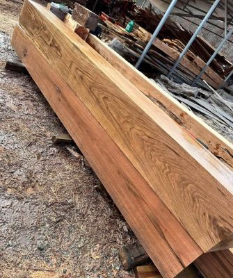 White oak