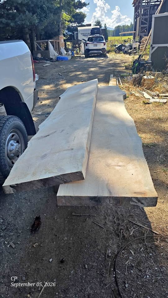 White pine slab