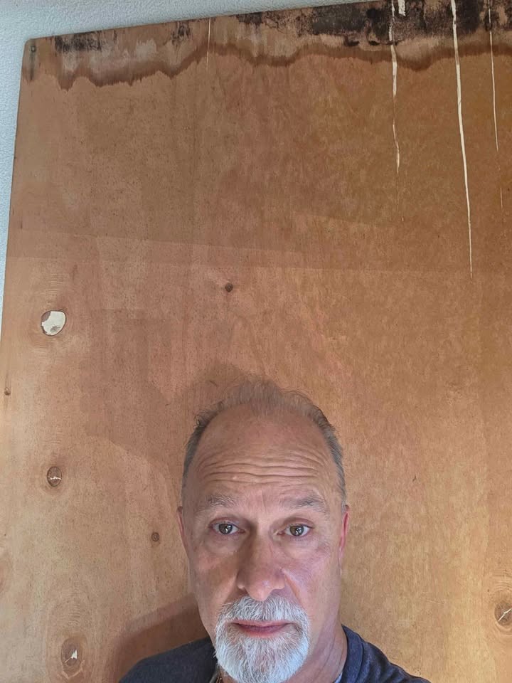 Plywood - Image 2