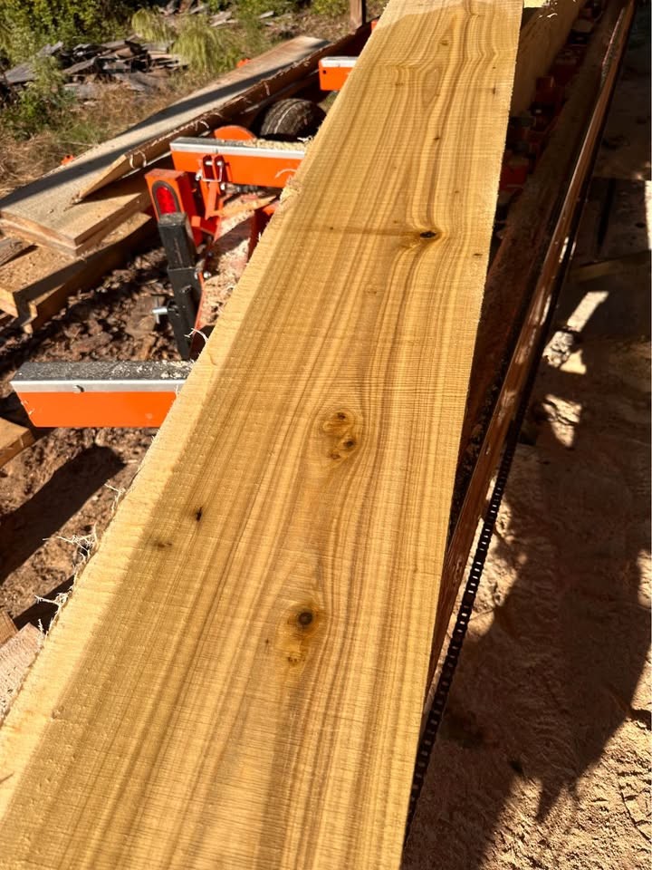 Poplar 1x12x8 lumber - Image 3