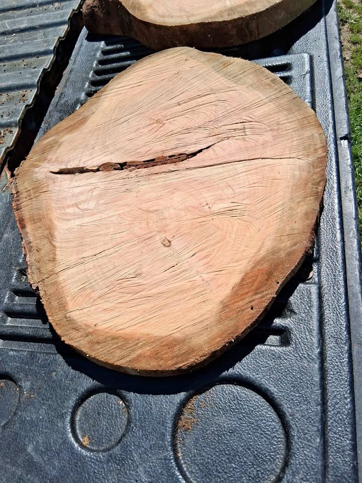 Slab of cherry wood - Image 1