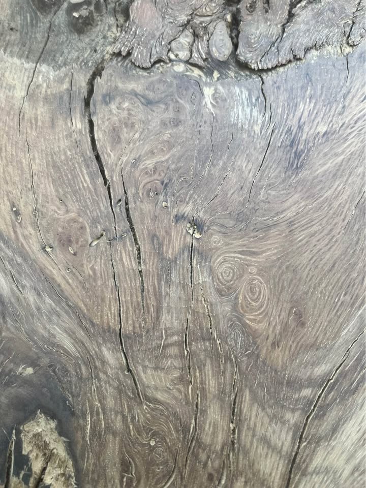 Oak slab with punk wood gutted - Image 3