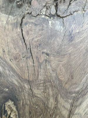 Oak slab with punk wood gutted