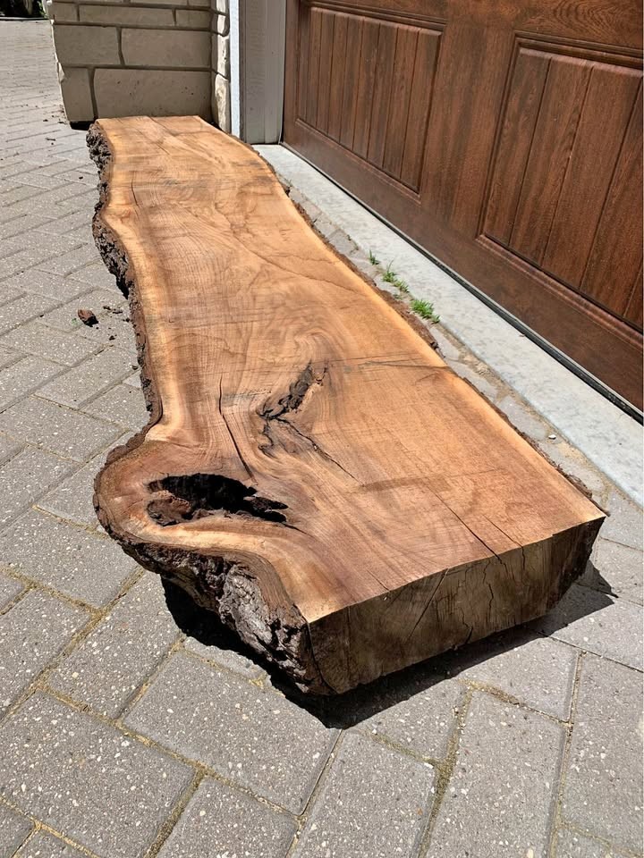 Live edge walnut slab/mantle - Image 1