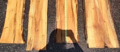 4 one inch slabs of maple aprox 12' x 14"  biggest one