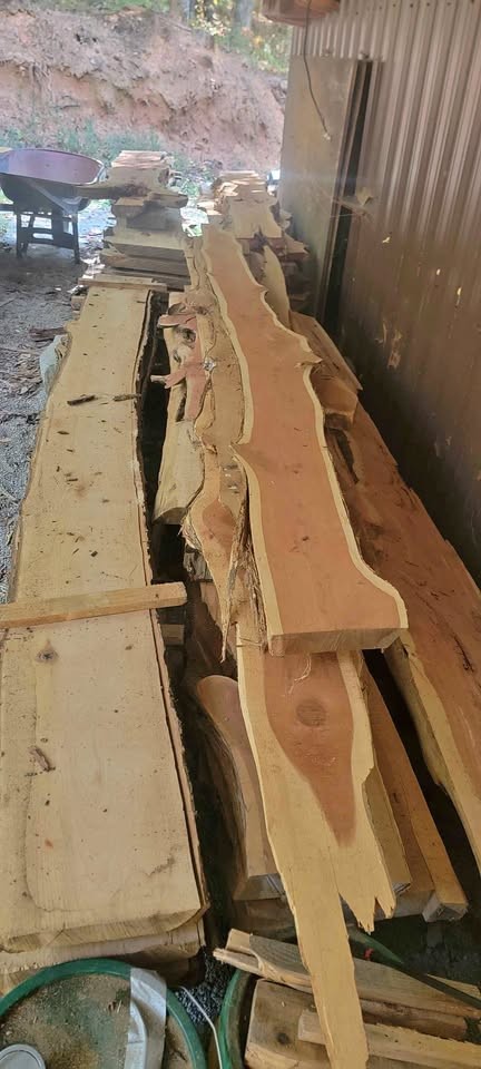 Wood - Image 1