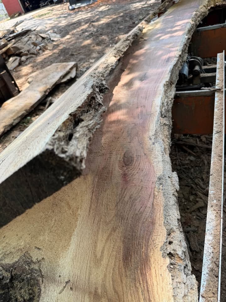 2” live edge slabs - Image 2