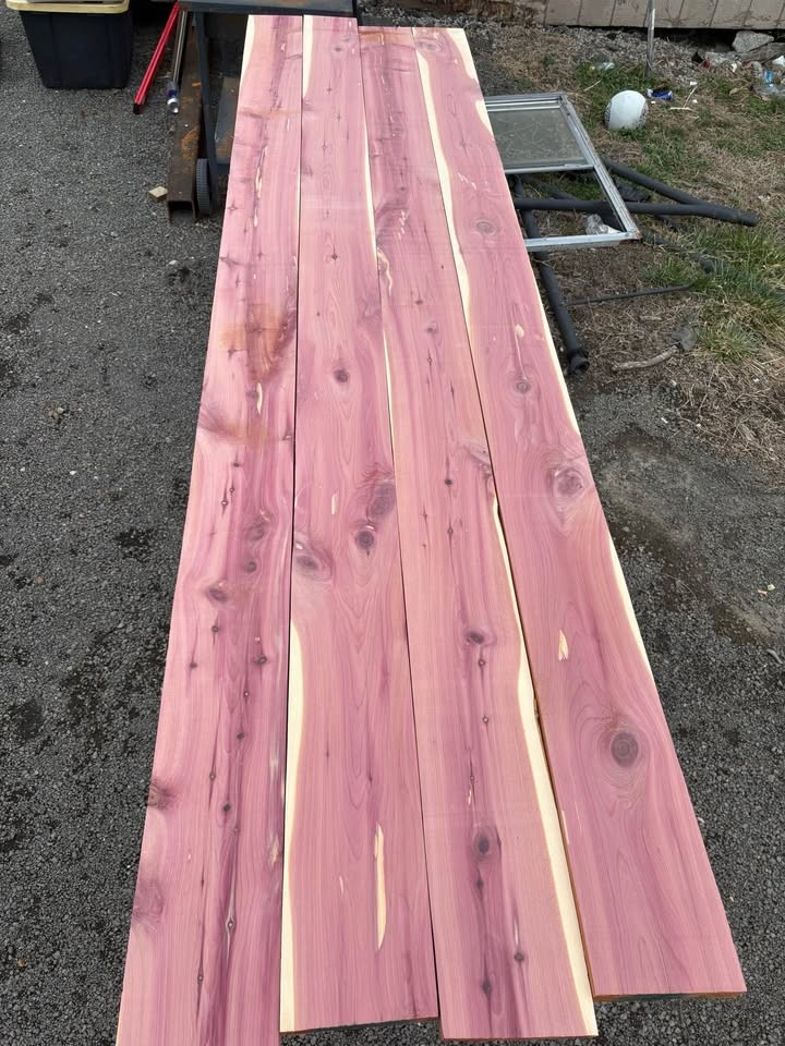Cedar sawmill lumber - Image 3