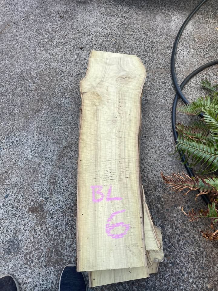 Live Edge Black Locust Wood Slabs - Image 3