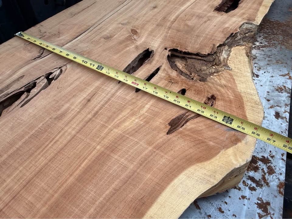 Live Edge Wood Slab cedar - Image 3