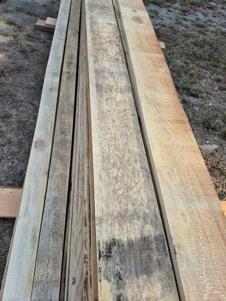 BARGAIN BUNDLE! Economy Grade Mixed Blued Lumber - Image 2