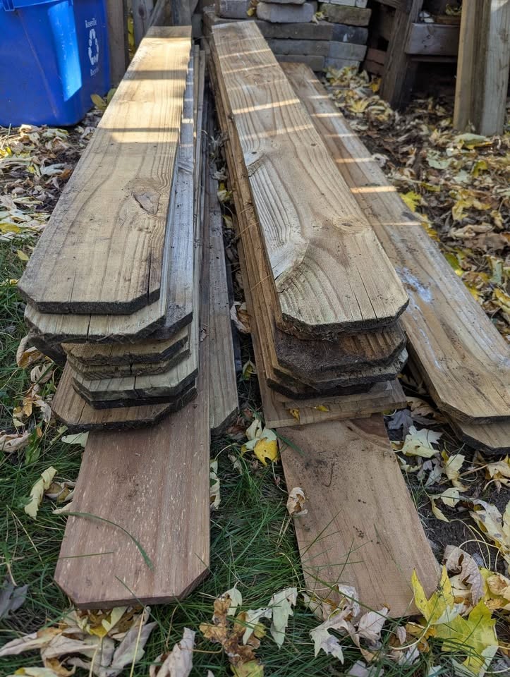 The Great Fall Wood Purge - Image 7