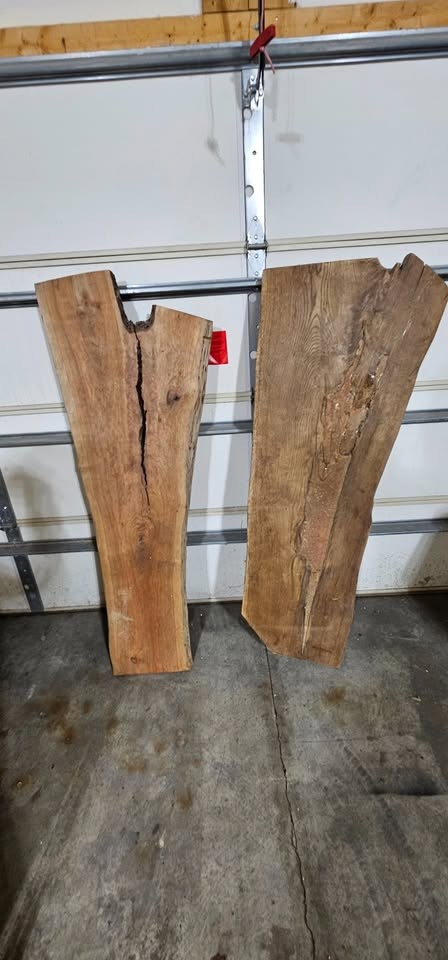 Live Edge Wood Slabs - Image 3