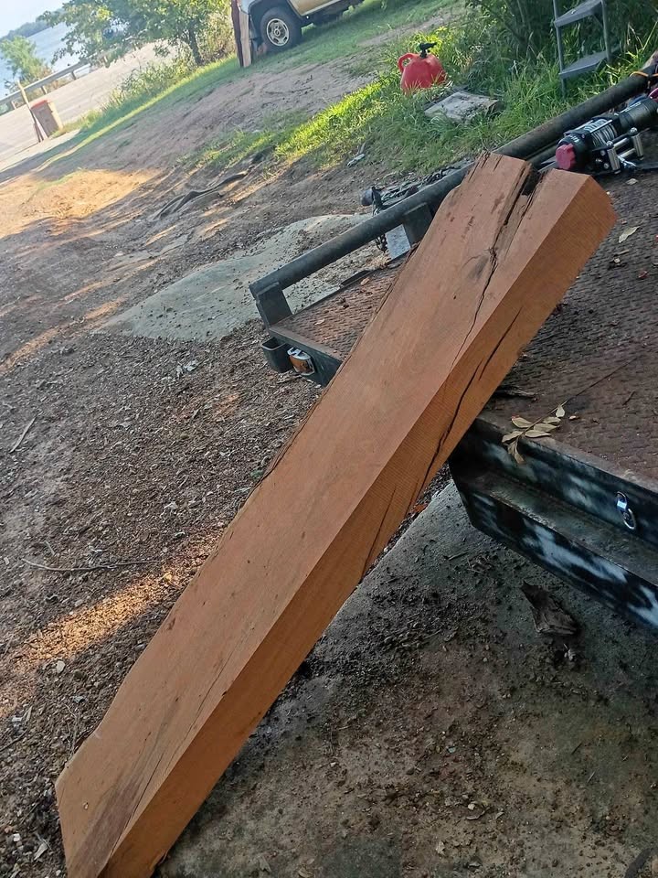 Wood slabs sale - Image 1