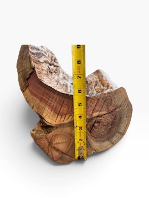 Pistachio Bowl Blank 12x12x5 DRY 8% MC Live Edge Woodturning Lathe Wood LARGE