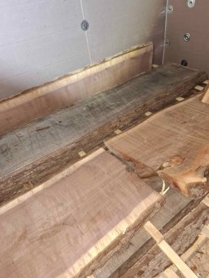 Live black walnut slabs
