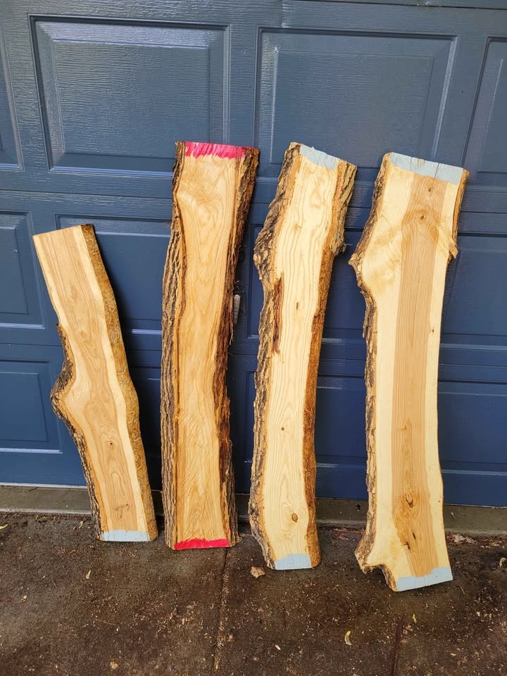 Ash wood slabs, 50" long, live edge lumber - Image 6