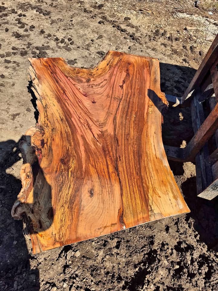 Live edge spalted pecan slabs - Image 1